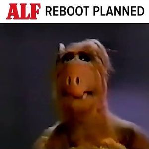 Meet your Posher, Chrisy